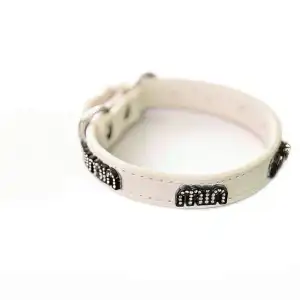 Premium Designer Dog Collar – Stylish Luxury Collar for Modern Pets