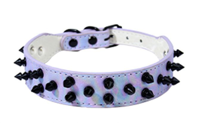 Premium Spike Dog Collar – Stylish Collar for Strong Dogs