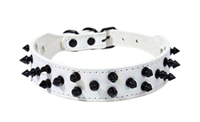 Premium Spike Dog Collar – Stylish Collar for Strong Dogs
