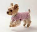 Elegant Lace Dog Sweater – Designer Clothing for Small Dogs