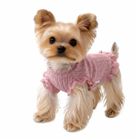 Elegant Lace Dog Sweater – Designer Clothing for Small Dogs