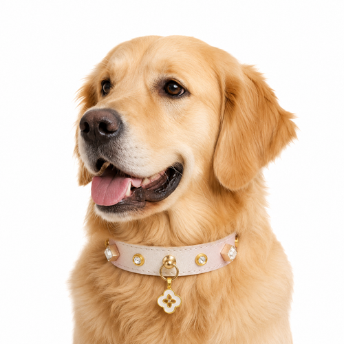 Elegant Crystal Collar for Small Dogs & Cats – Luxury Personalized Pet Necklace