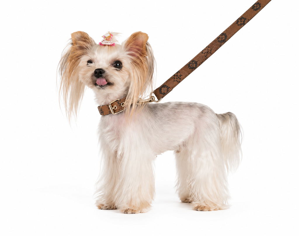 The Classic Charm Leash Set