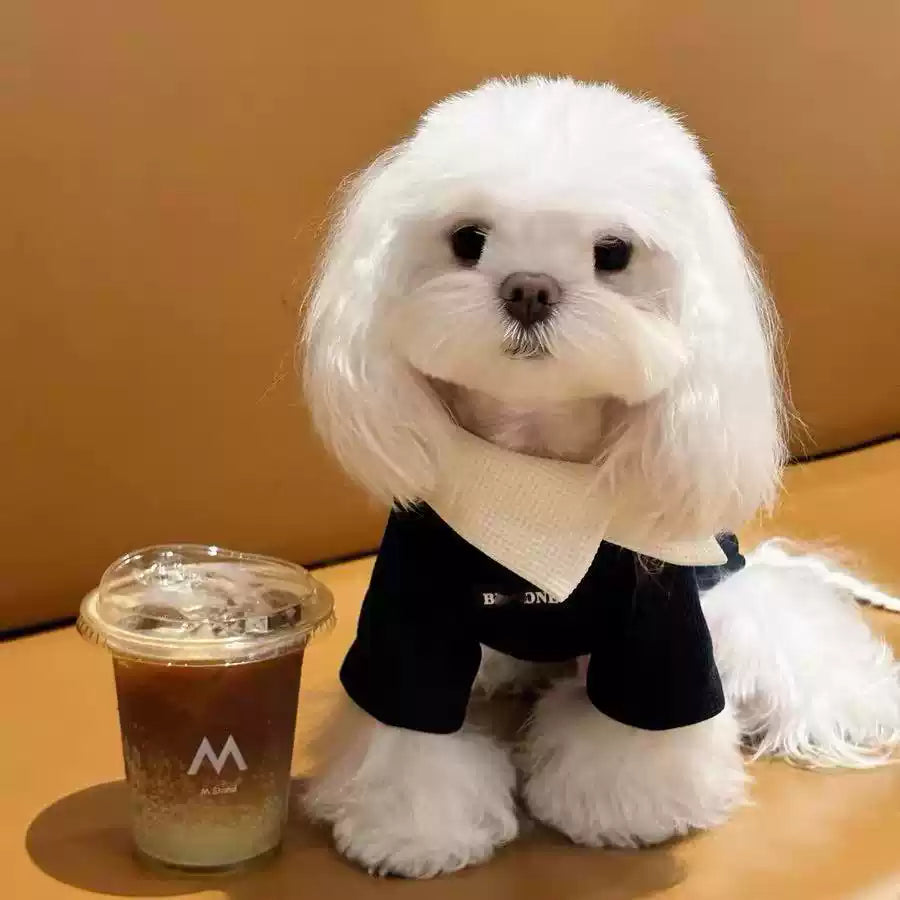 Luxury Designer Dog & Cat Hoodie – Cozy Pet Sweatshirt for Small Dogs