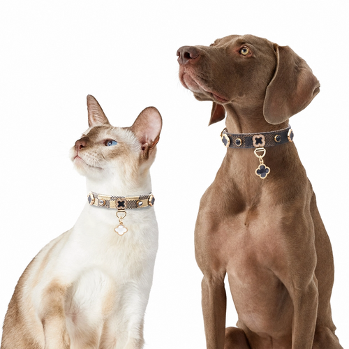 Designer Crystal Pet Collar – Luxury Monogram Collar for Dogs & Cats