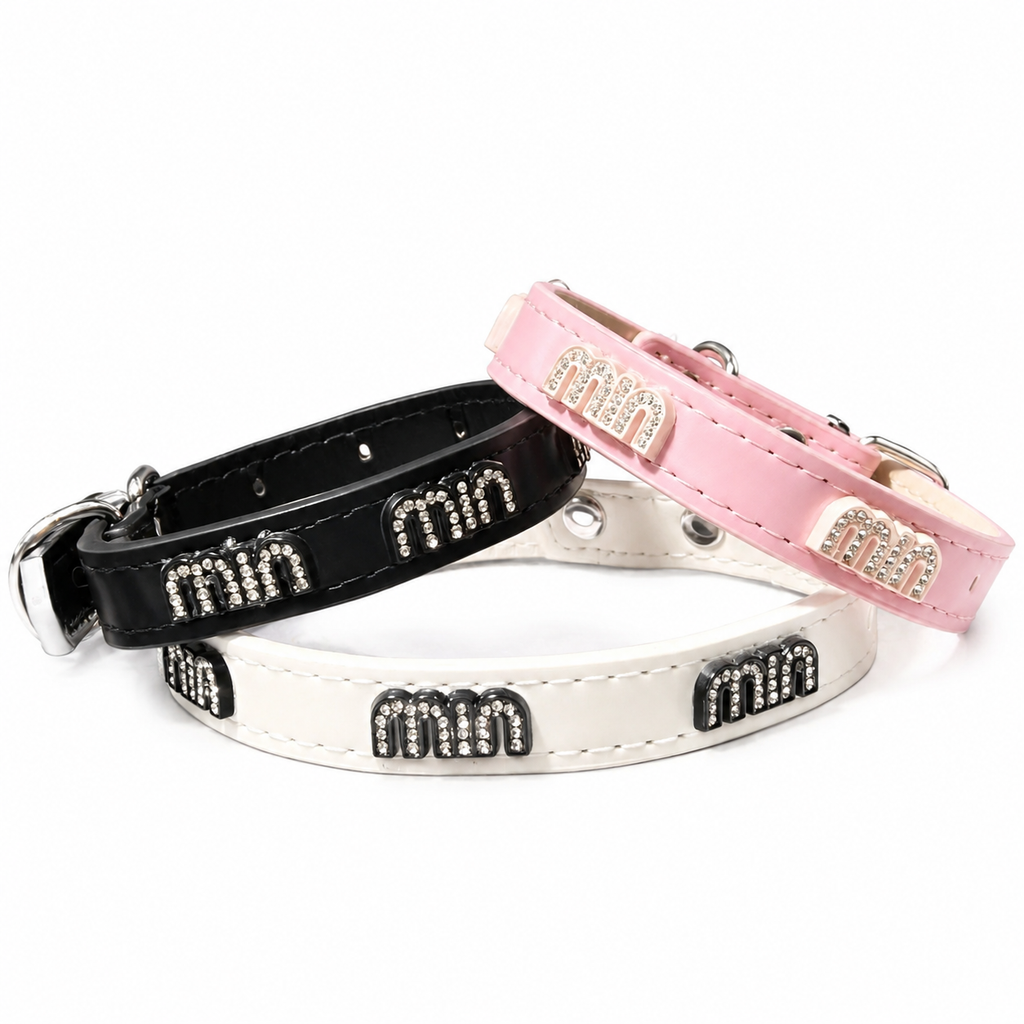 Premium Designer Dog Collar – Stylish Luxury Collar for Modern Pets