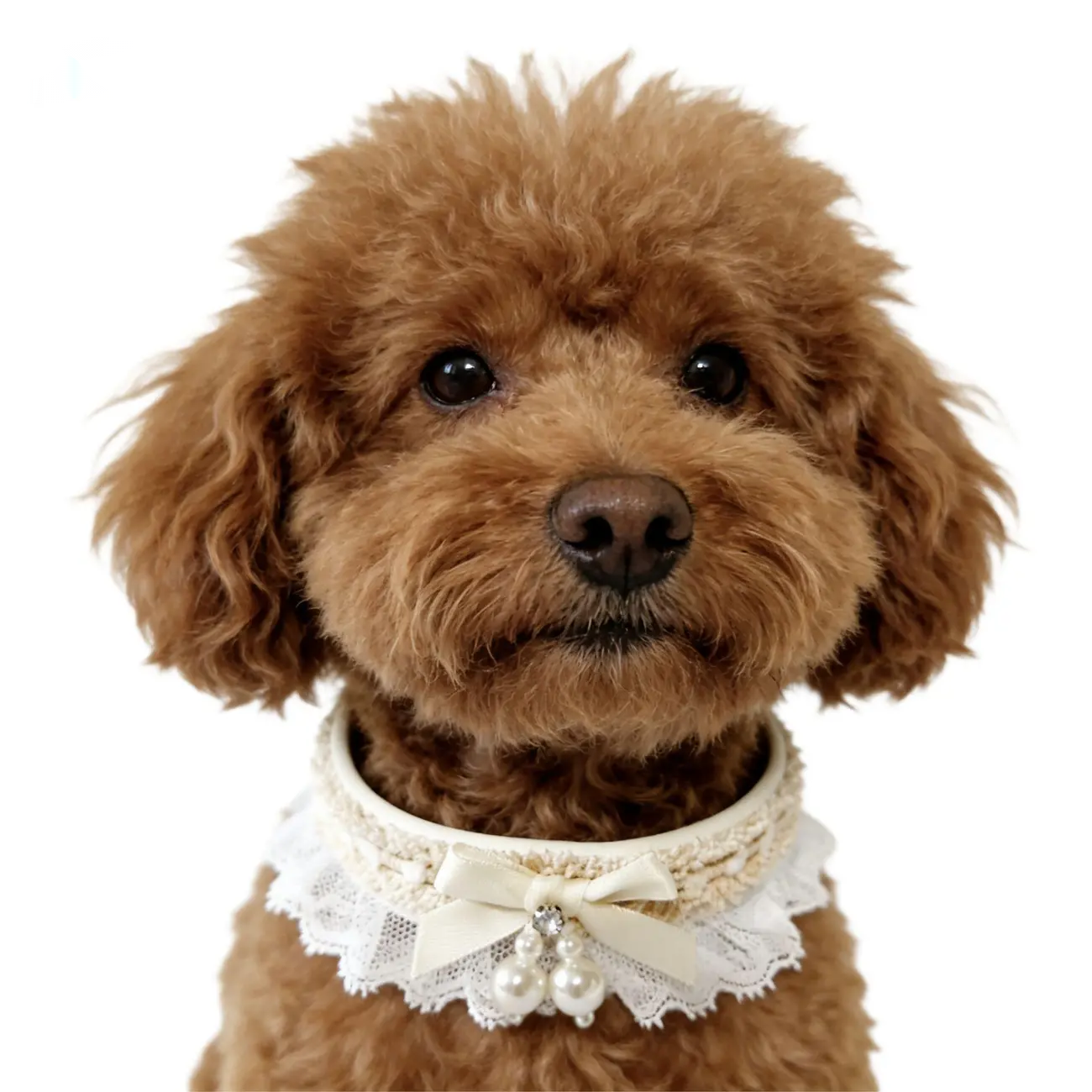 Elegant Lace Pet Collar – Adjustable Bow Collar for Cats & Dogs