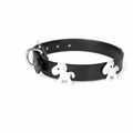 Premium Luxury Dog Collar – Stylish Everyday Collar for Modern Dogs