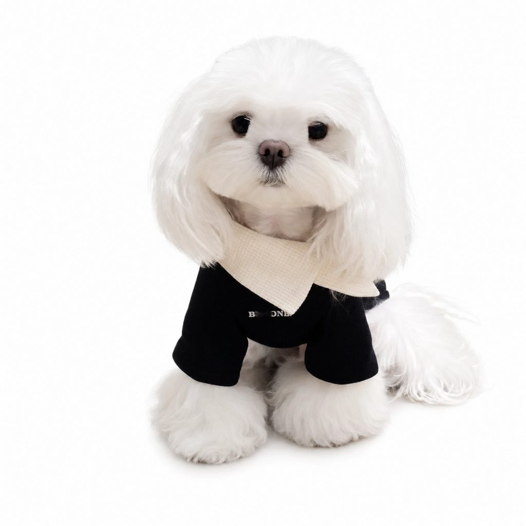 Luxury Designer Dog & Cat Hoodie – Cozy Pet Sweatshirt for Small Dogs