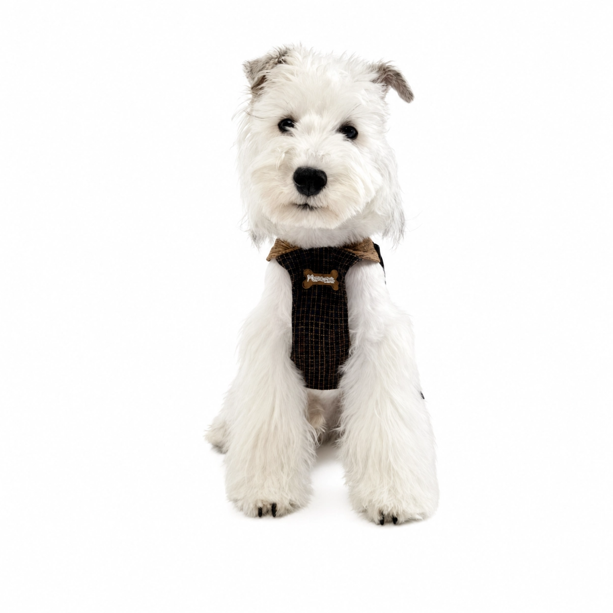 Luxury Summer Dog Vest – Lightweight Sleeveless Jacket for Small Dogs
